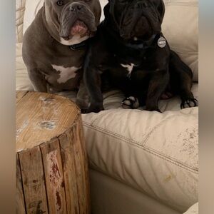 Meet your Posher, Tammy